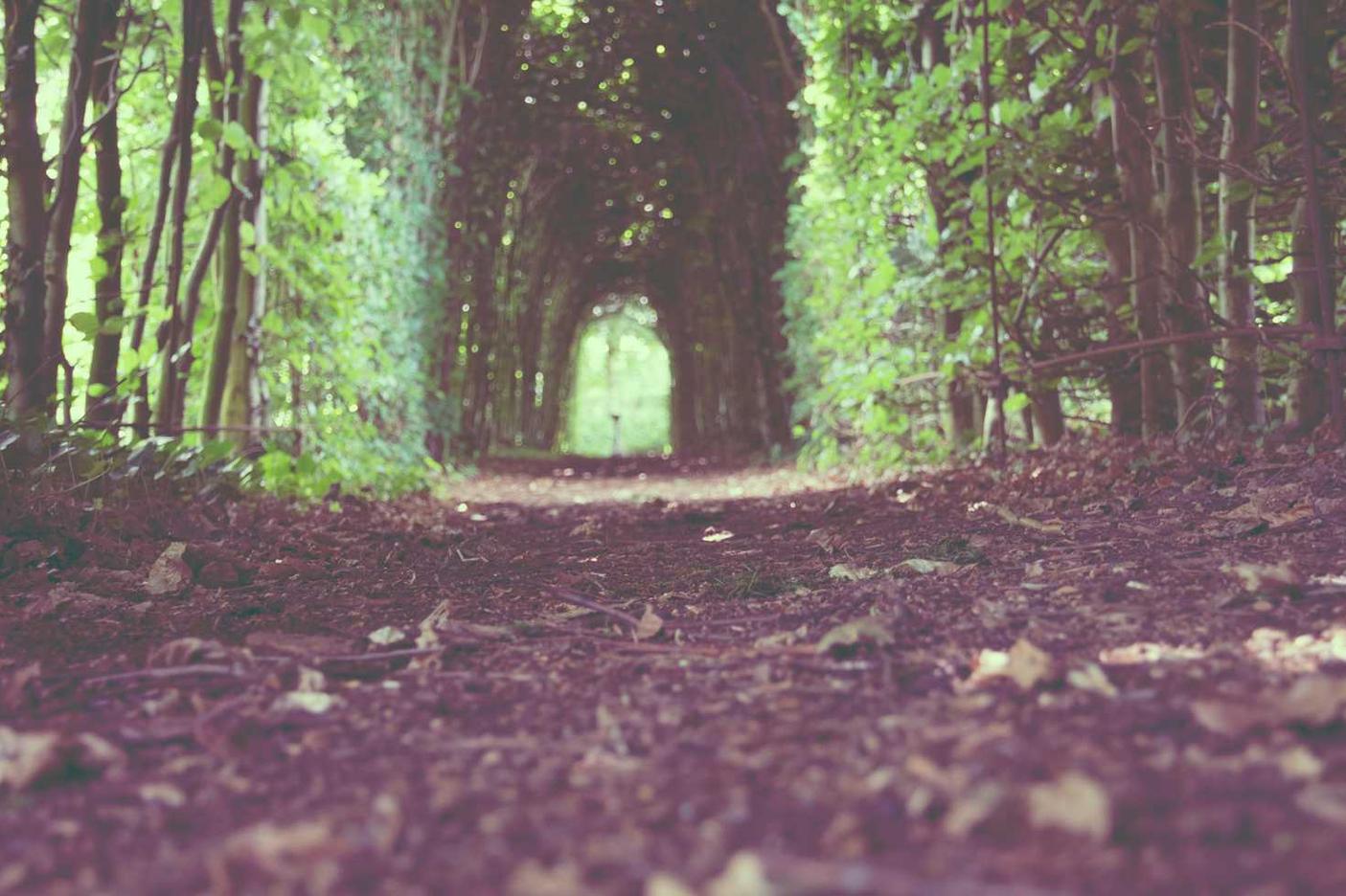 Consequatur odit error quas accusantium alias